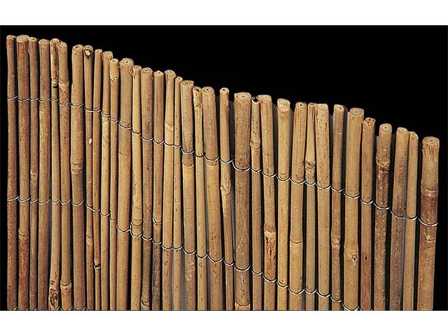 ARELLA TIME 2.5×3 609/6