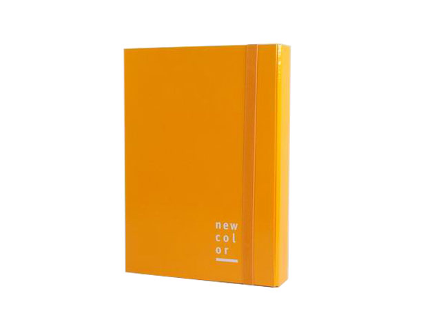 CARTELLINA 3 LEMBI E.P.25X35 D5ARANCIO