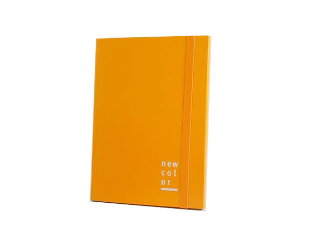 CARTELLINA 3 LEMBI E.P.25X35 D2 ARANC. CARTELLINA 3 LEMBI E.P.25X35 D2 ARANC.