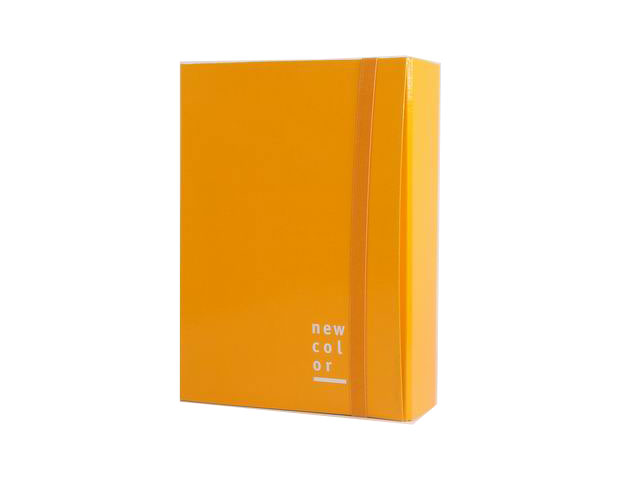 CARTELLINA 3 LEMBI E.P.25X35 D10ARANC.