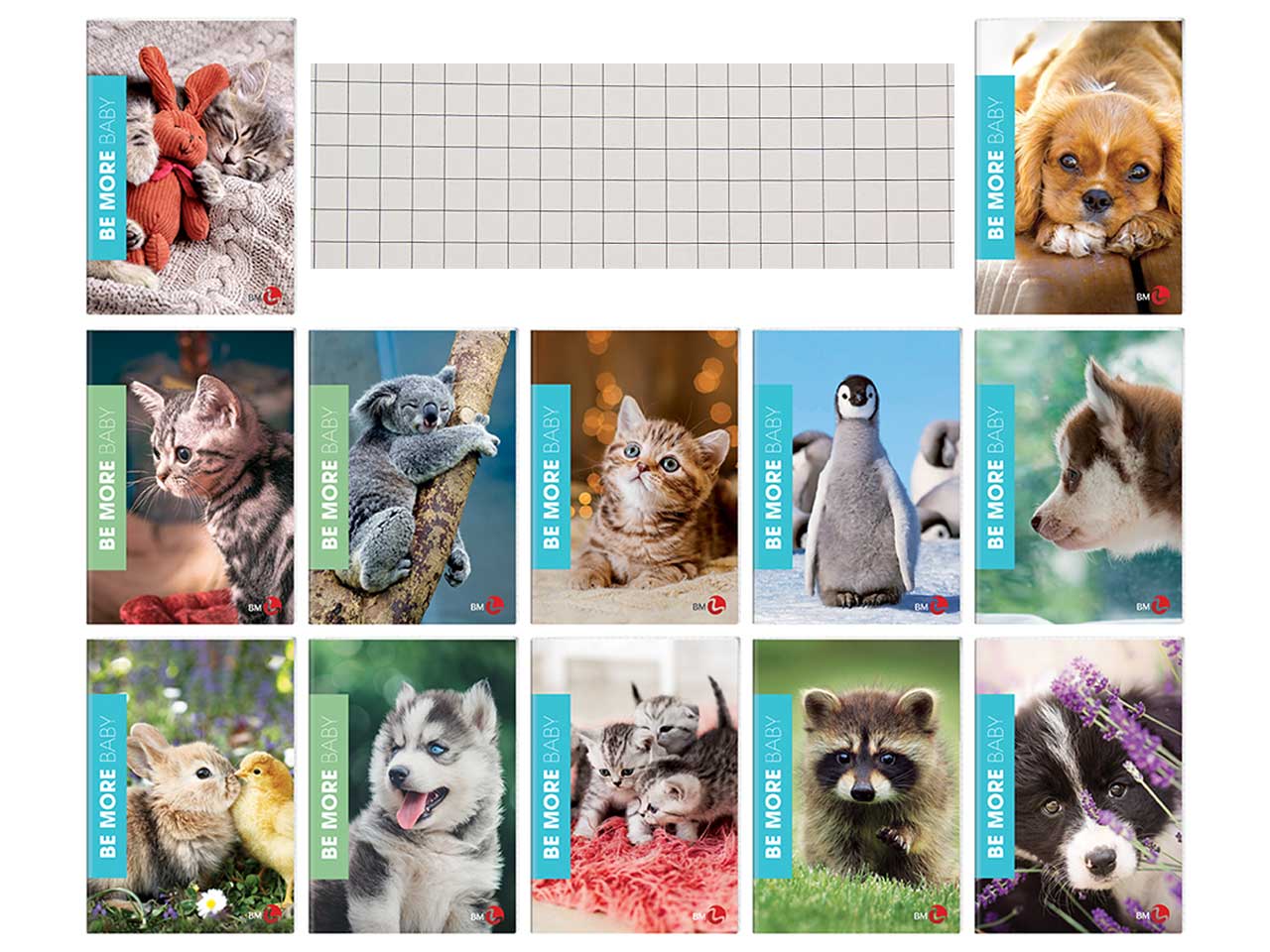 QUADERNI MAXI BABY 5 MM 10PZ 20573 QUADERNI MAXI BABY 5 MM 10PZ 20573