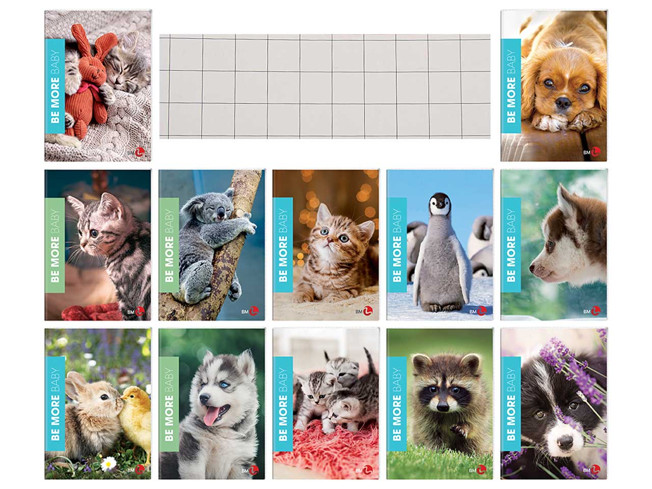 QUADERNI MAXI BABY 10 MM 10PZ 20577 QUADERNI MAXI BABY 10 MM 10PZ 20577