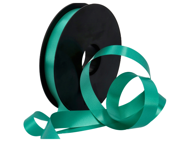 NASTRO E MM.19X100MT.COL.09