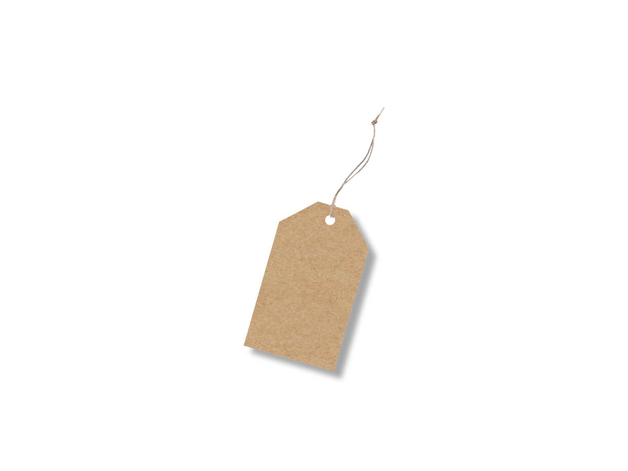 CHIUDIPACCO AVANA C/SPAGO100PZ E9 0002