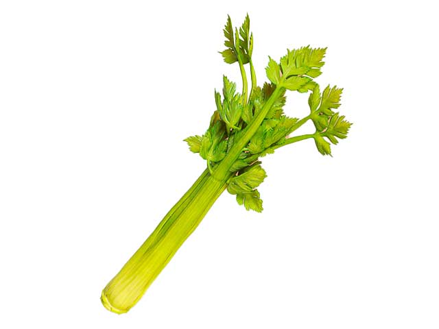 MAZZO SEDANO 39x18x18cm 1MME6 MAZZO SEDANO 39x18x18cm 1MME6