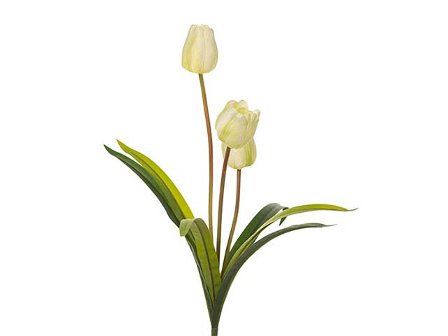 RAMO C/3 TULIPANI H.50CM CREMA 2FV568
