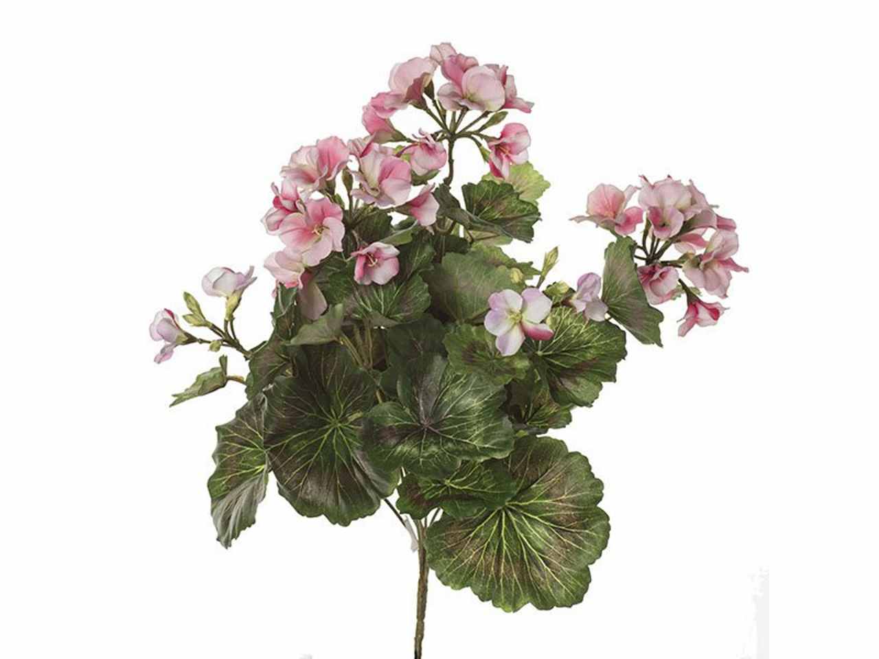 MAZZO GERANIO MINI 38cm 2FFS105