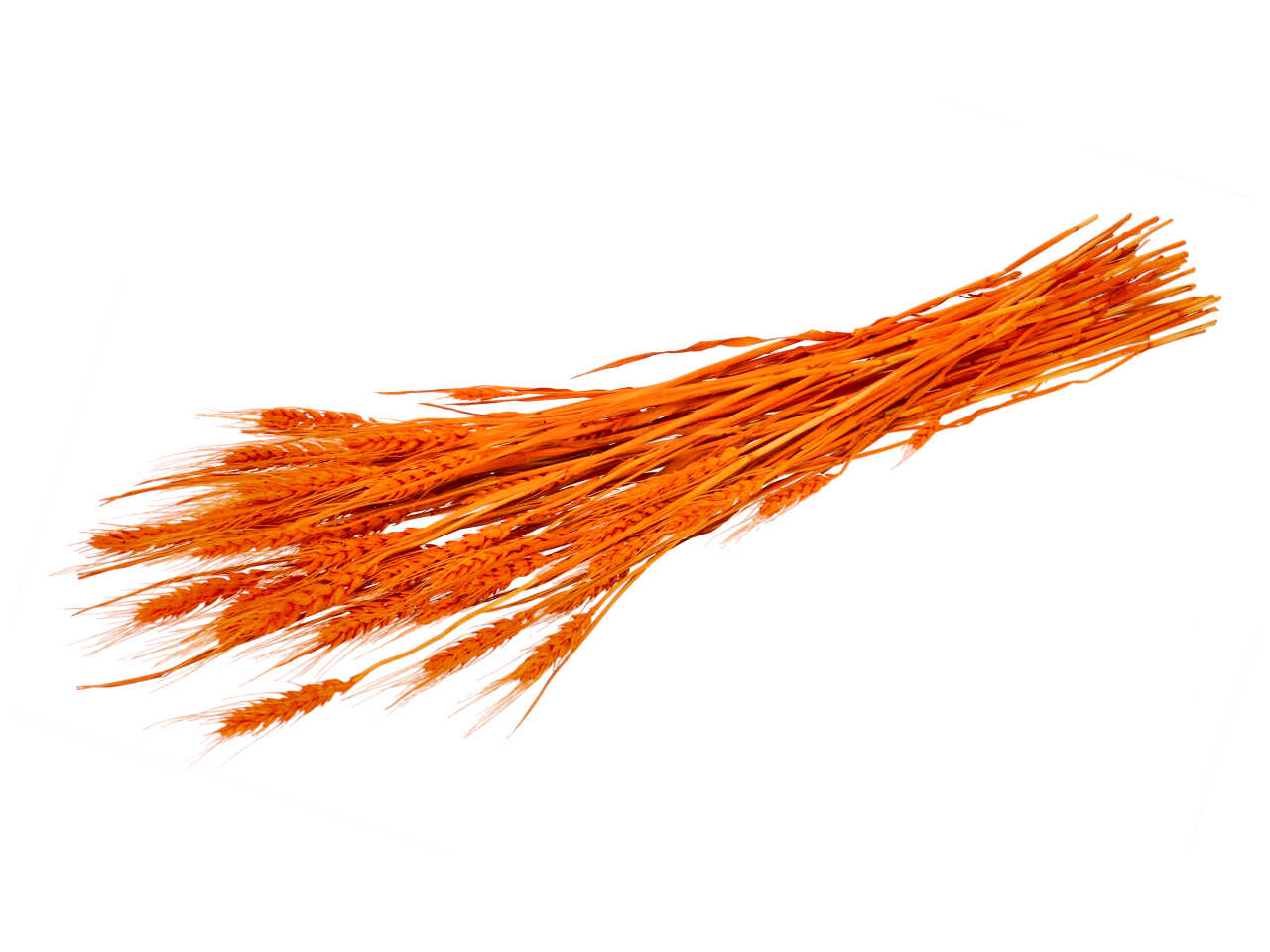 RAMO SPIGA 10x68cm 70g ORANGE 2SV2053