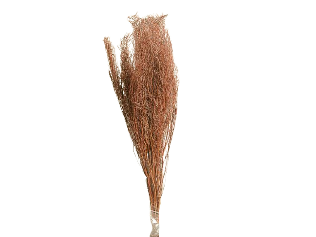 RAMO ERBA 13x84cm 70g MARRONE 2SV2013