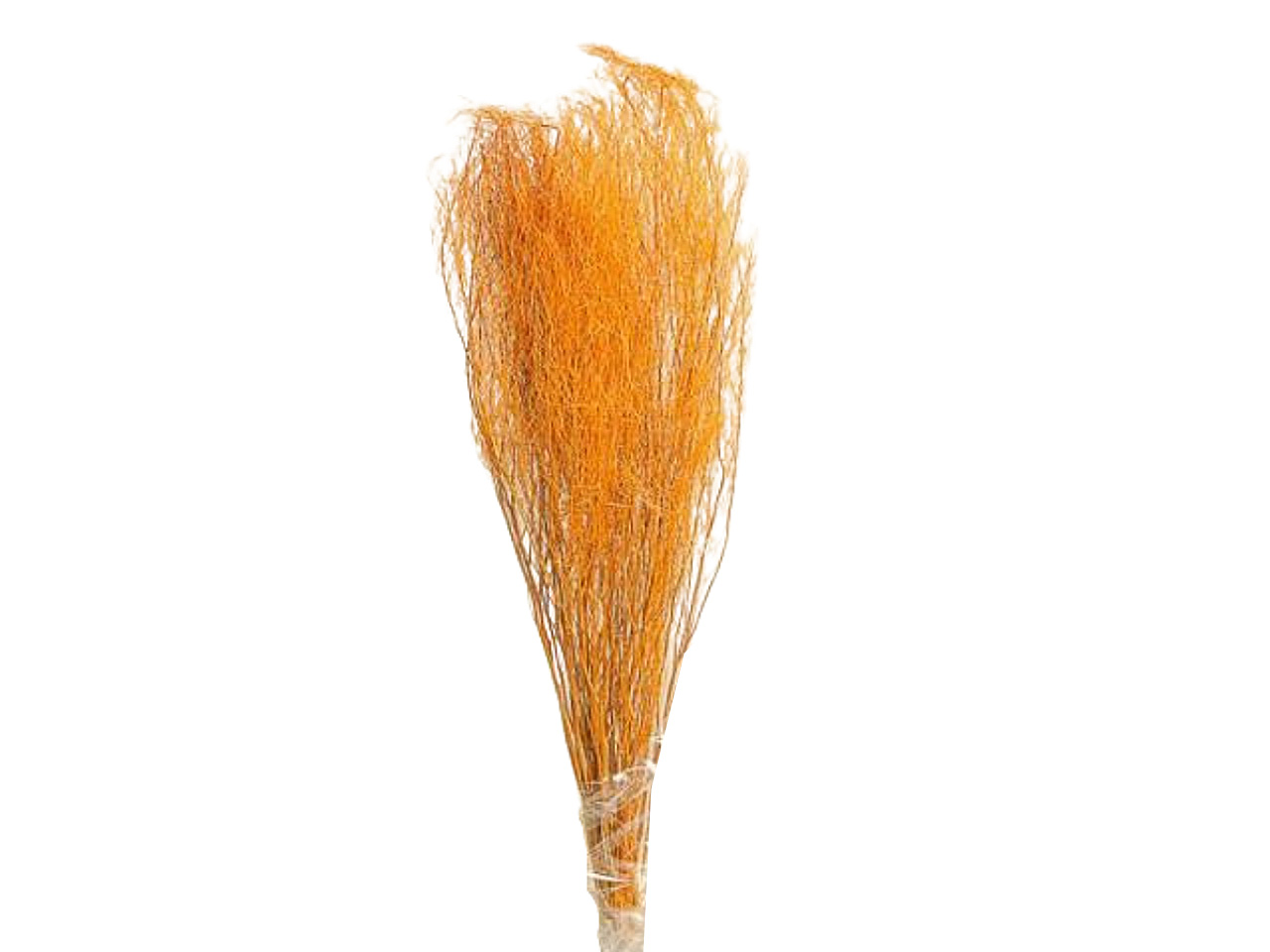 RAMO ERBA 13x84cm70g ARANCIO 2SV2013
