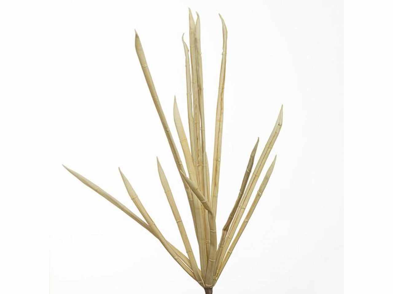 MAZZO BAMBU’ 97cm CREMA 2PHZ1815