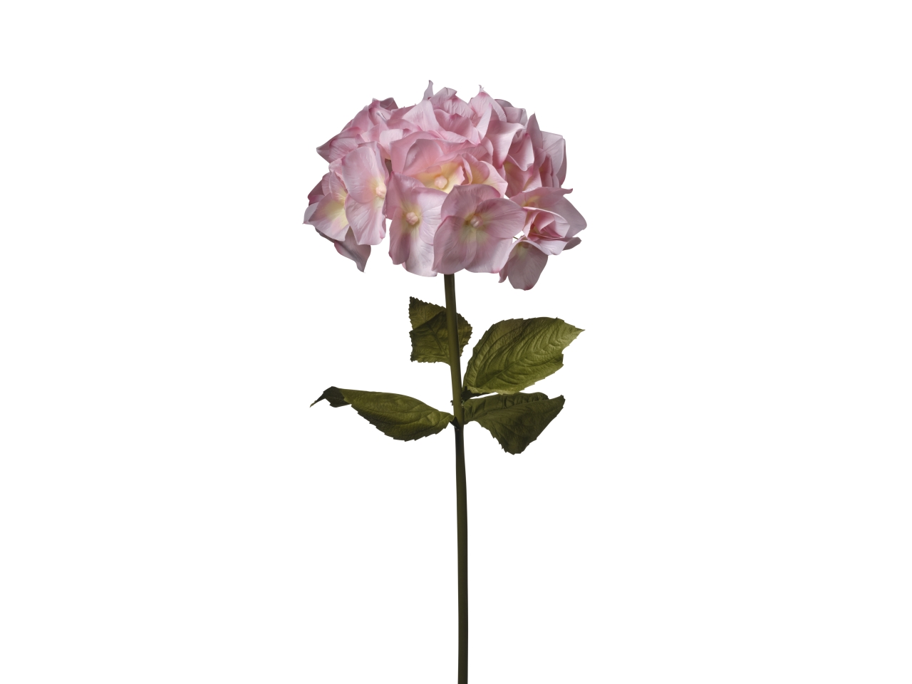 ORTENSIA H.120CM D.50CM ROSA 2FPD5 219
