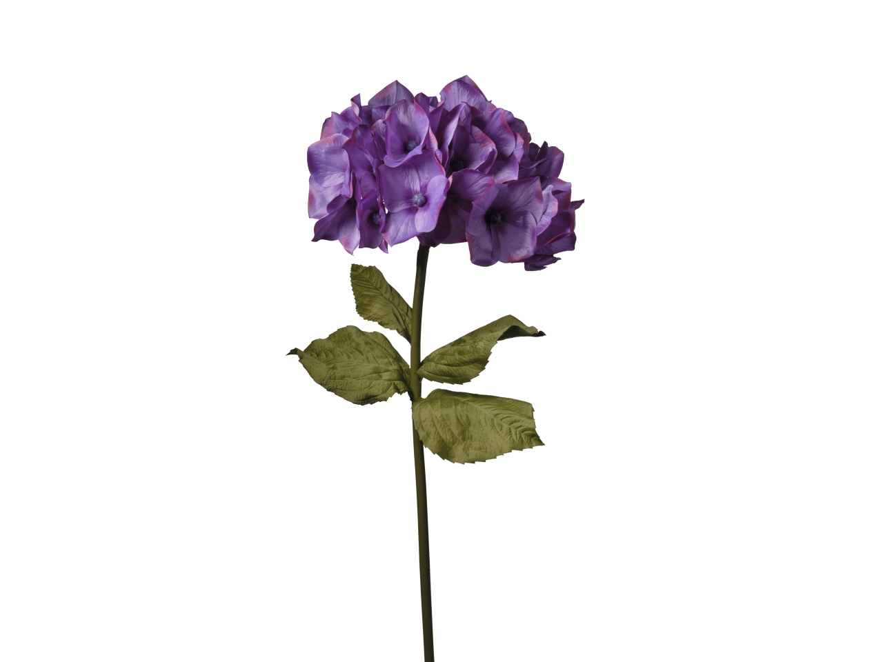 ORTENSIA H.120CM D.50CM VIOLA 2FPD5 229