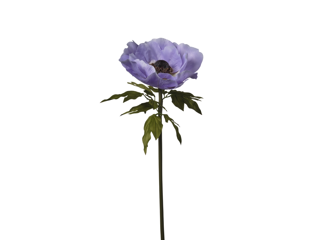 ANEMONE H.100CM D.30CM VIOLA 2FPD1 204
