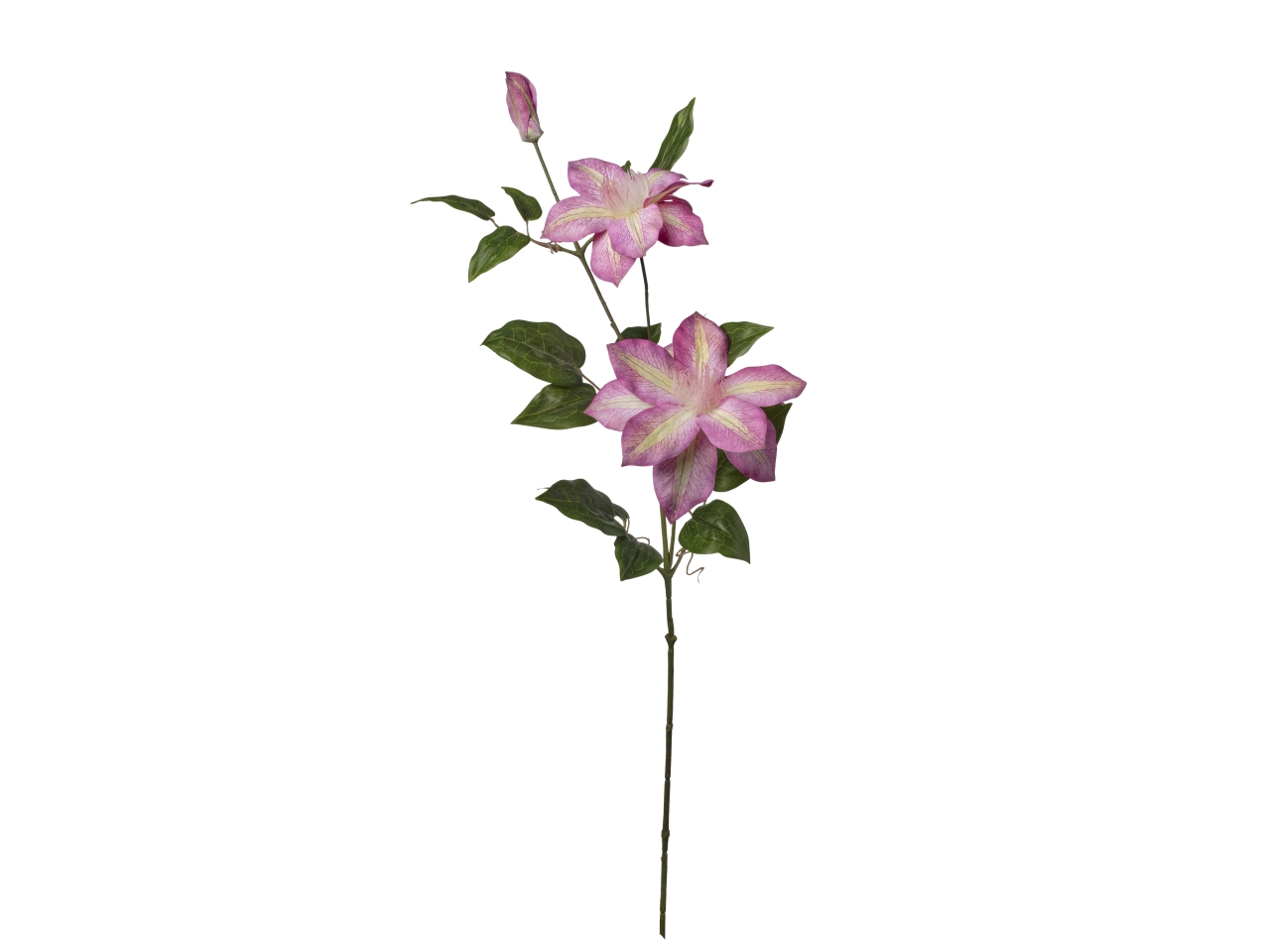 RAMO C/3 CLEMATIS 22X86CM BEAUTY 2FV2648 011