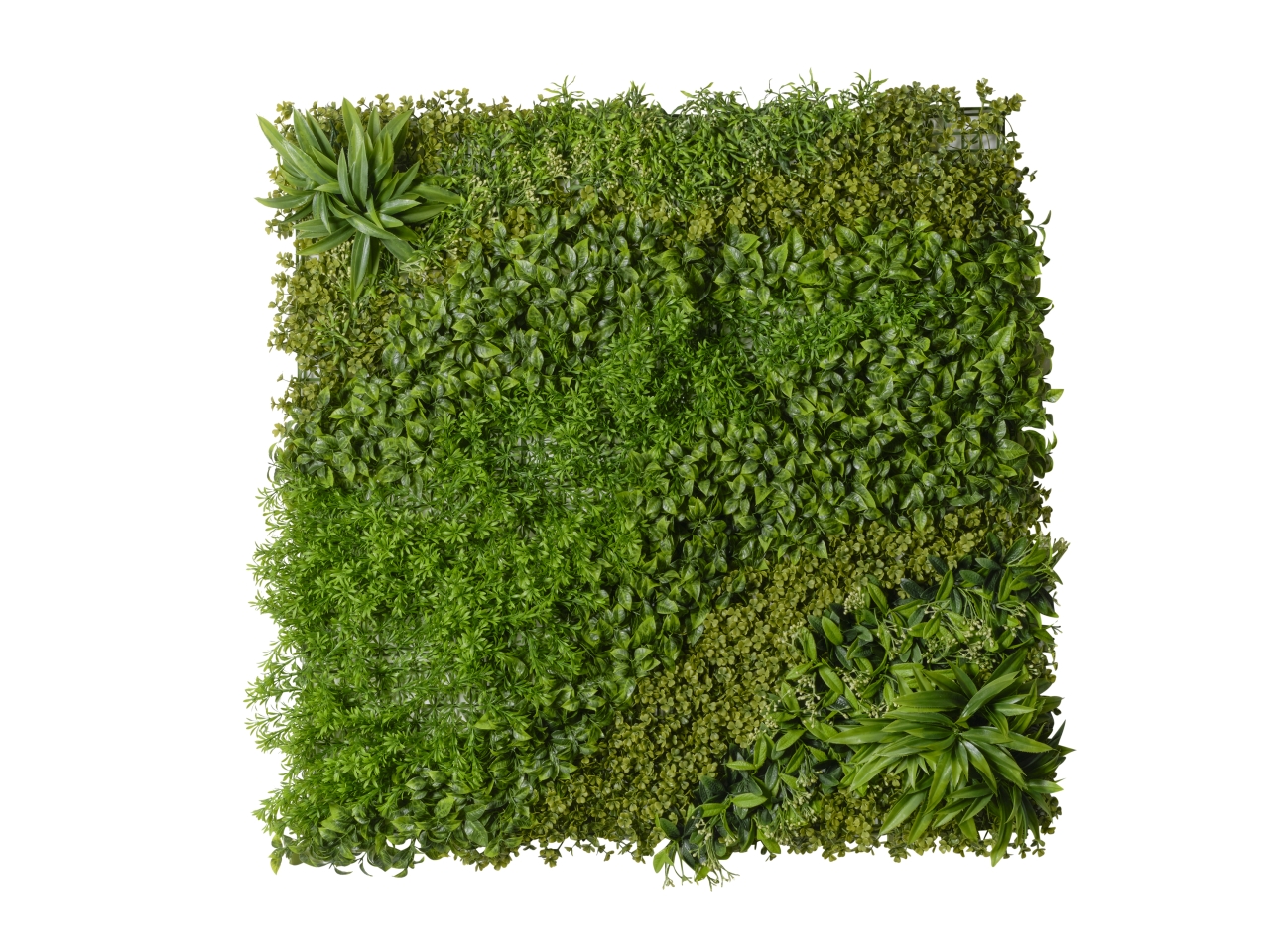 TAPPETO ERBOSO 100X100CM 2PMC2