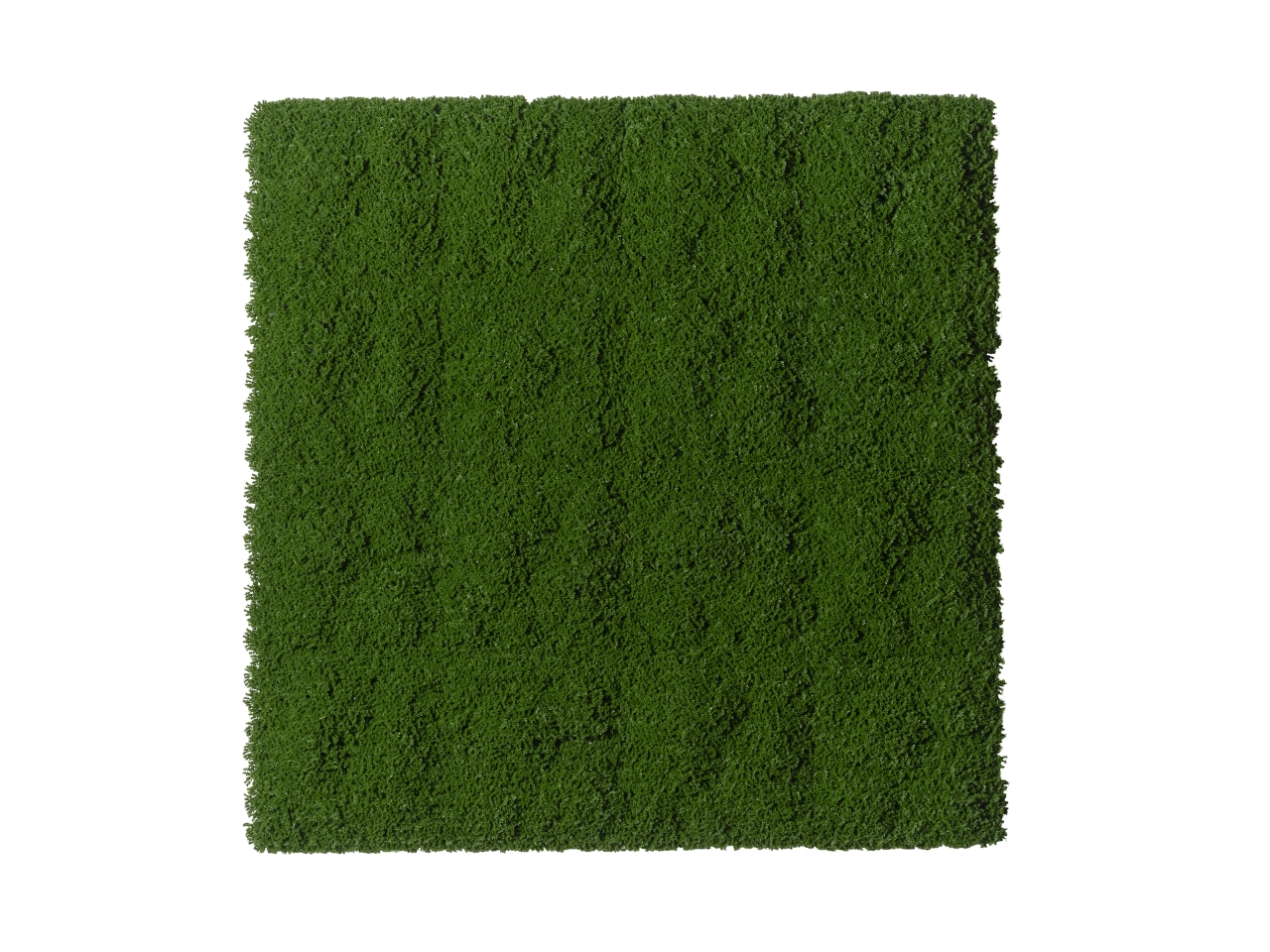 TAPPETO MUSCHIO 100X100CM 2PMP7 093