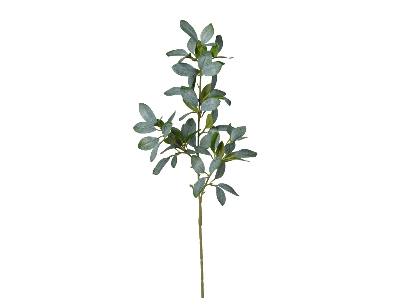 RAMO FICUS 65CM 2PQD11