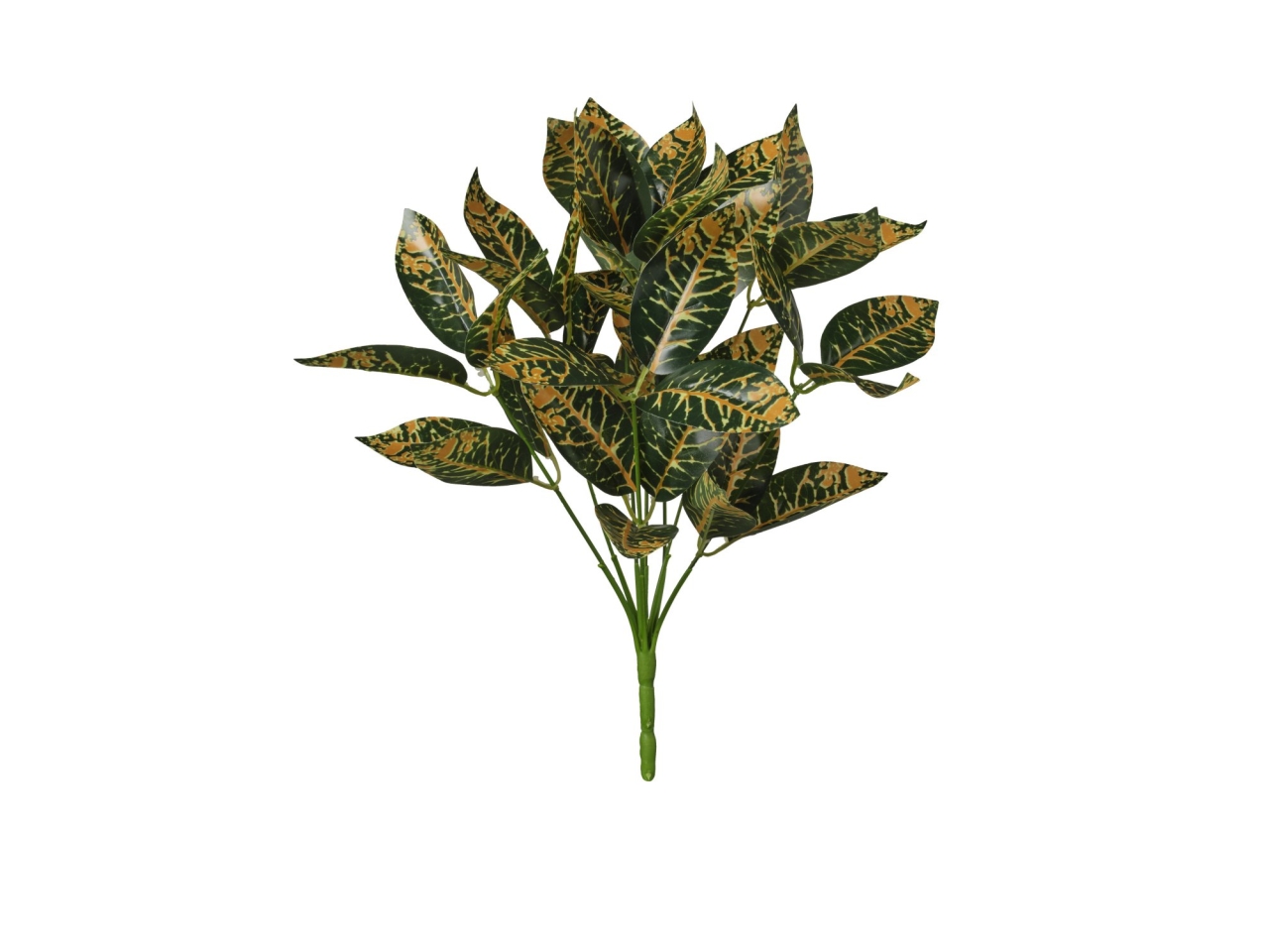 MAZZO CROTON 38CM 2PQD40