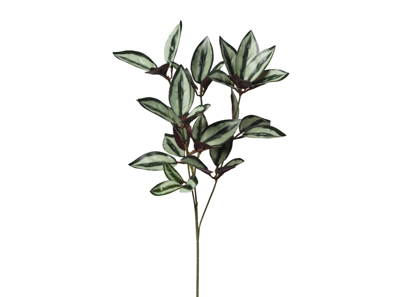 RAMO TREDESCANTIA 55CM 2PQD45