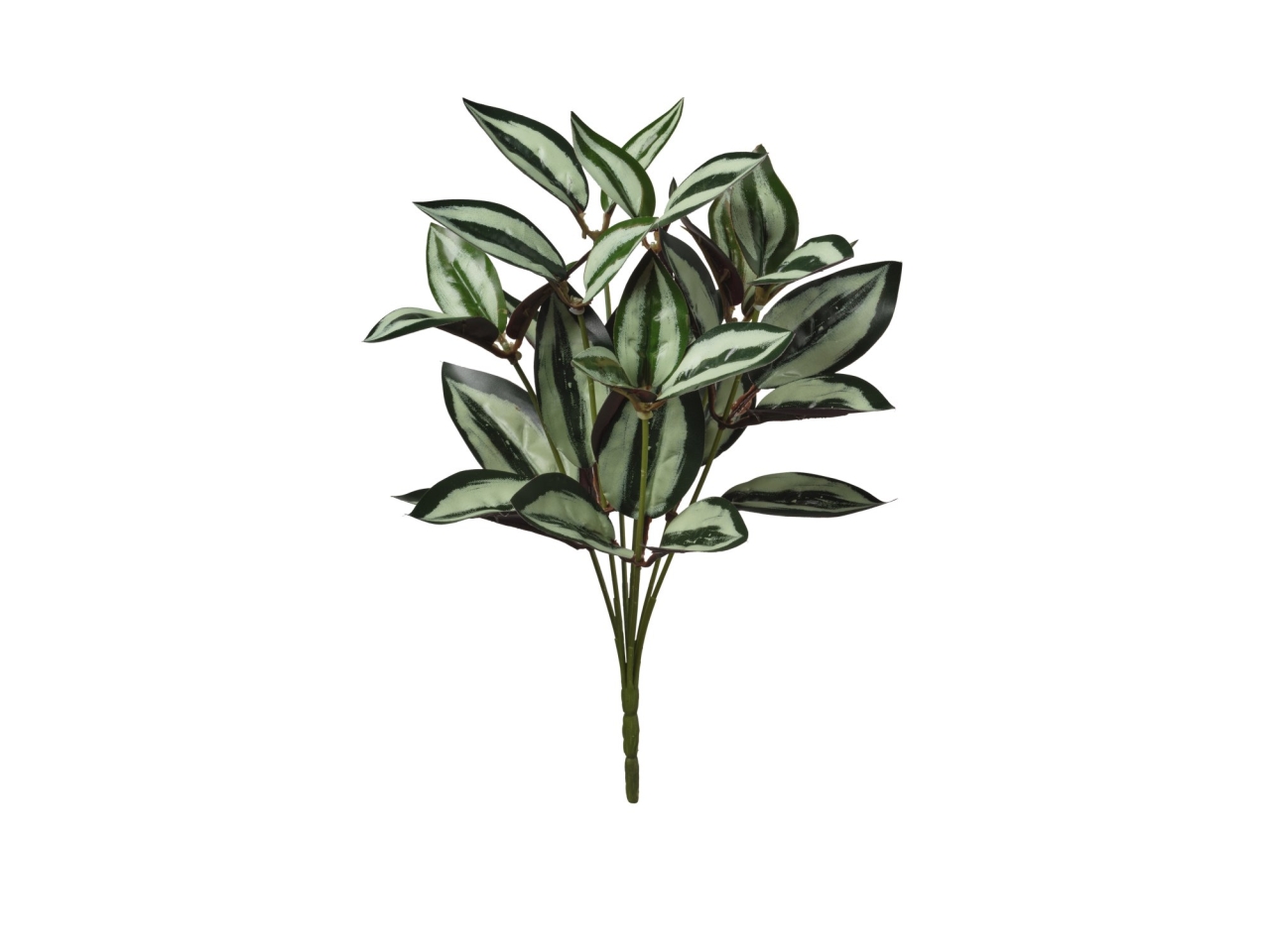 MAZZO TREDESCANTIA 32CM 2PQD44 MAZZO TREDESCANTIA 32CM 2PQD44