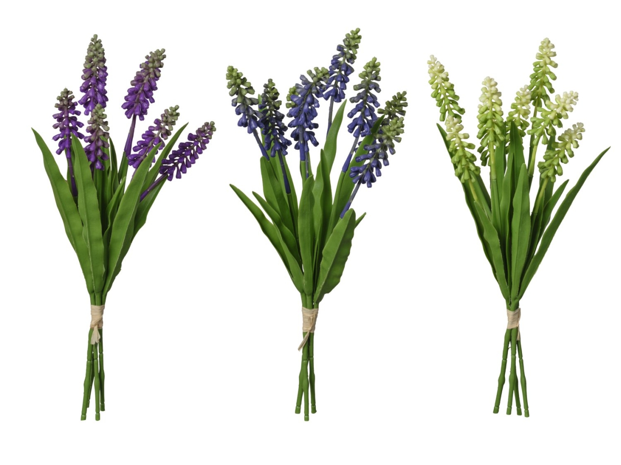 MAZZO GIACINTI COL.ASS.36CM 2FV3104 350