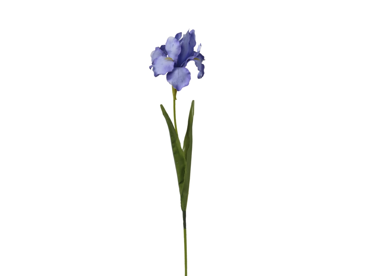 RAMO IRIS 63CM LAVANDA 2FHZ765 151