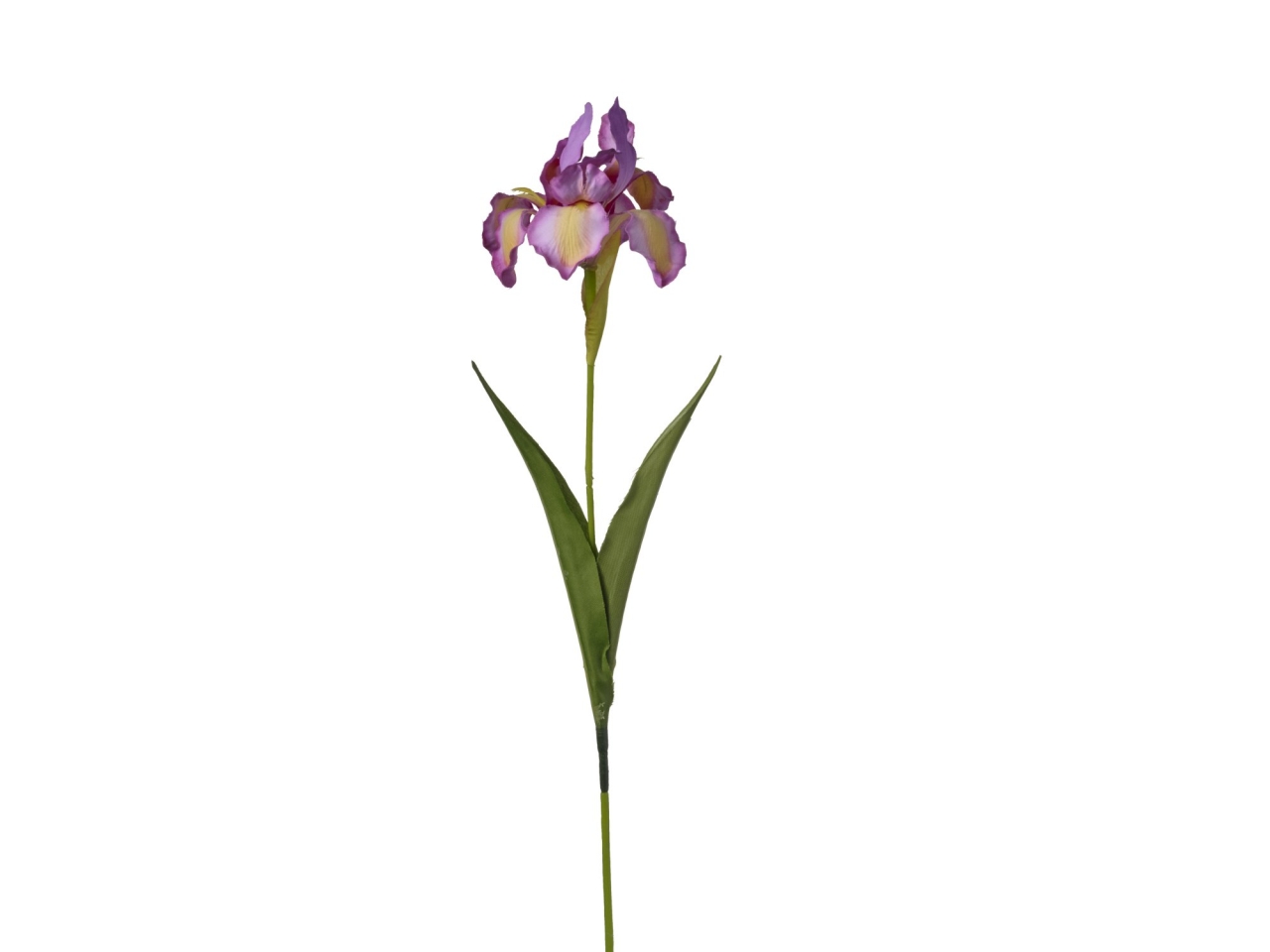 RAMO IRIS 63CM MAUVE 2FHZ765 171