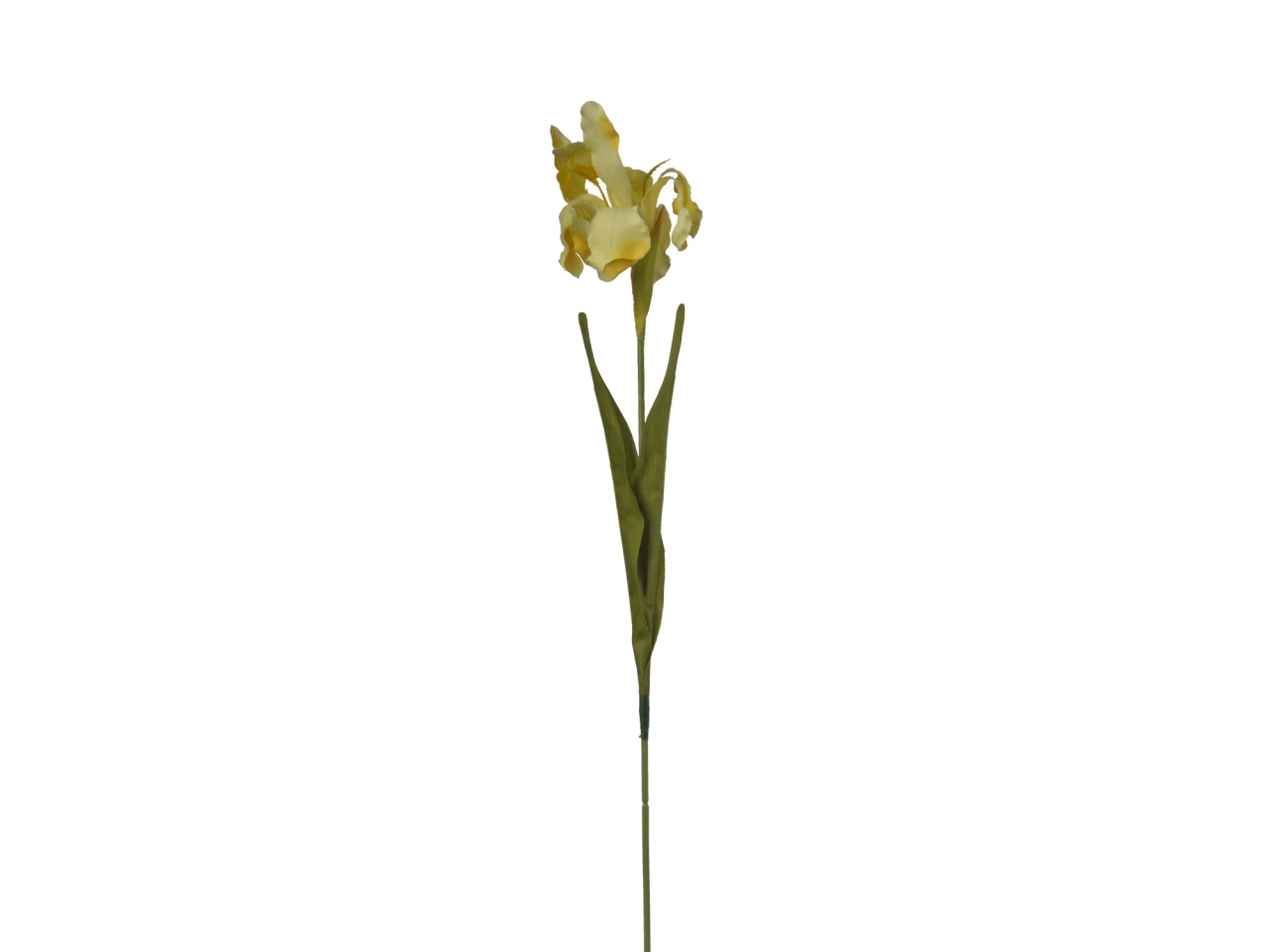RAMO IRIS 63CM GIALLO 2FHZ765 321