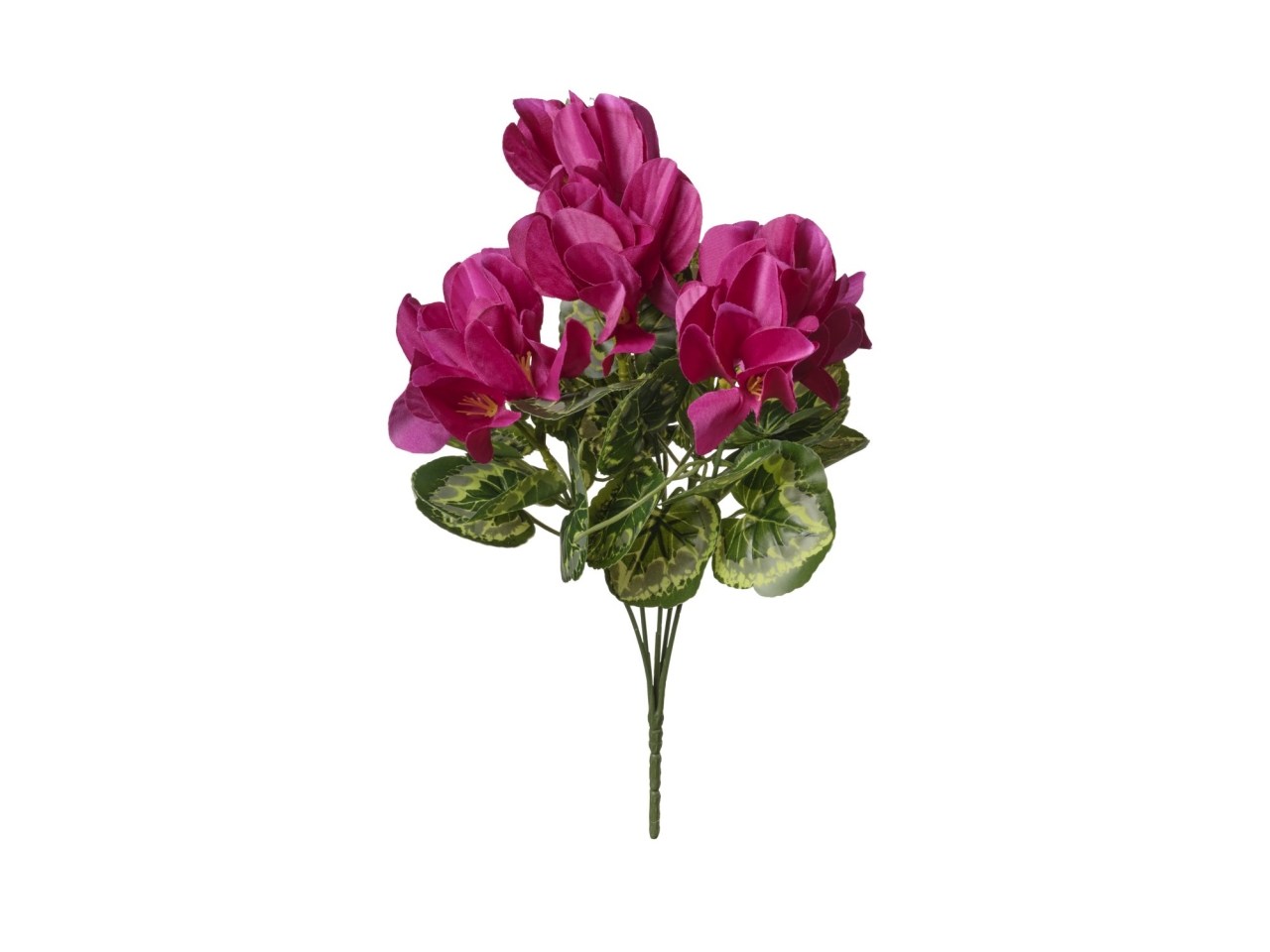 MAZZO CICLAMINI 35CMFUCSIA 2FHZ3795 073