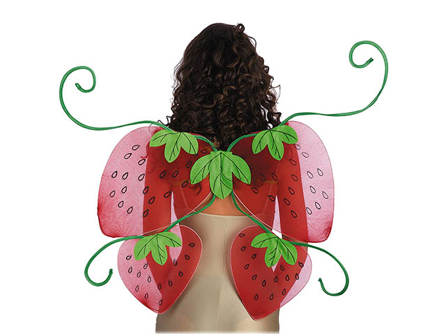 ACC.ALI FRAGOLE 70X80cm 06774