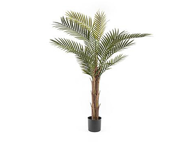 PALMA IN VASO 150cm 03587 PALMA IN VASO 150cm 03587