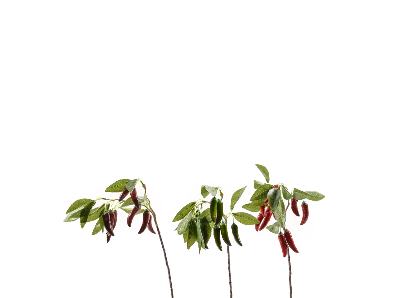 RAMETTO PEPERONCINO 50CM ASS 24333
