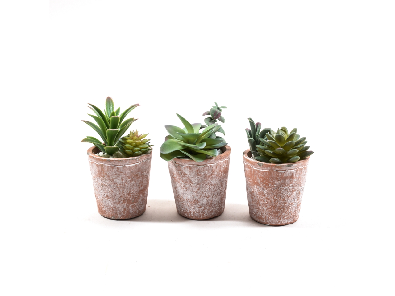 PIANTE GRASSE H.14XD.8CM 33076$