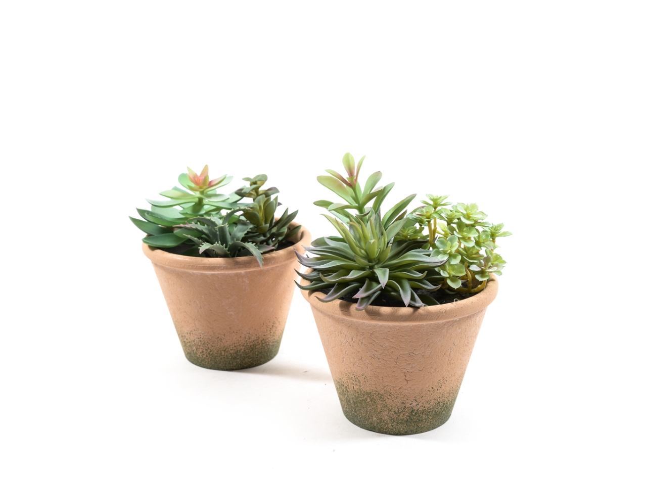 PIANTE GRASSE H.18XD.16CM 33182