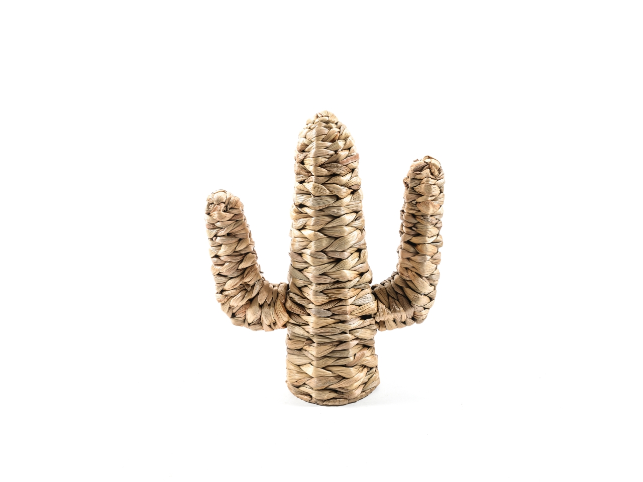 CACTUS IN BANANO 27X11,5XH.34CM 35390