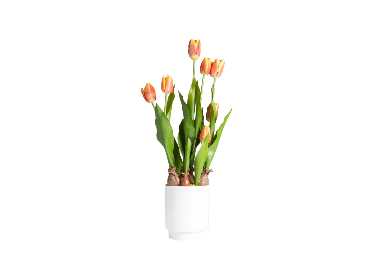 VASO C/7 TULIPANI ARANCIO H.53CM 28061 VASO C/7 TULIPANI ARANCIO H.53CM 28061