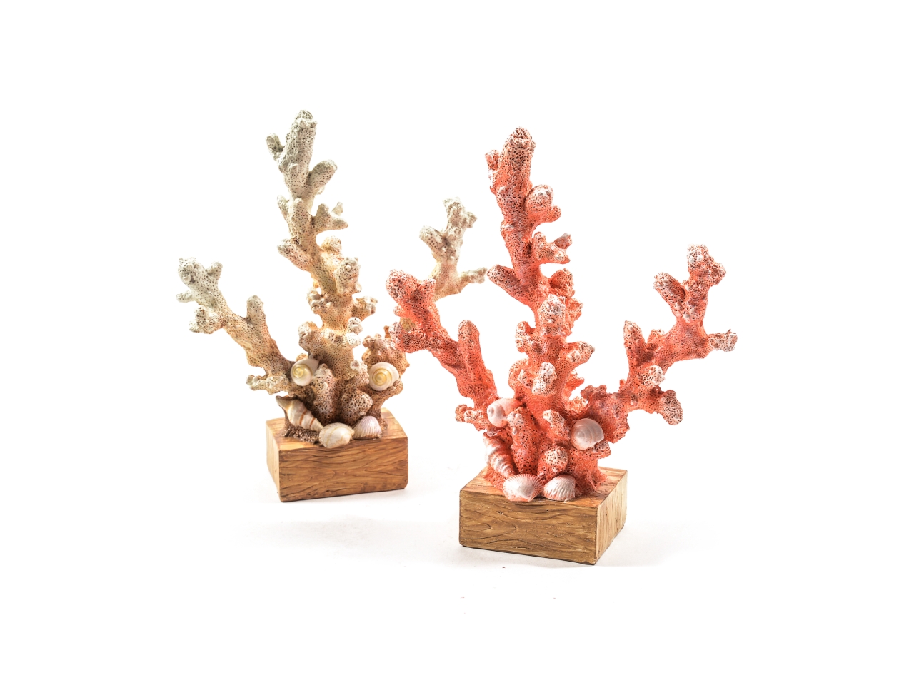 SCULTURA CORALLO RESINA 19X7XH.23 24691