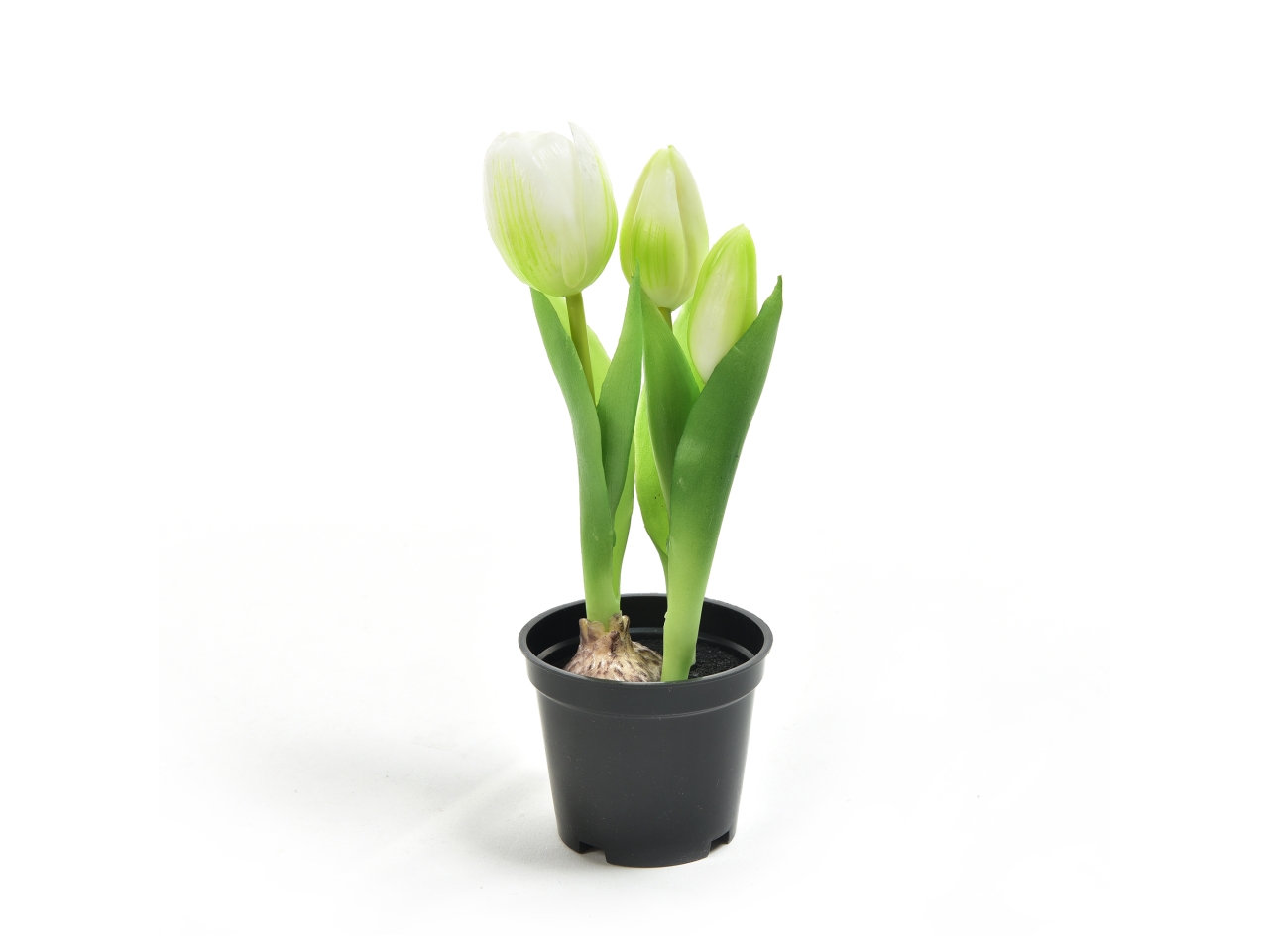TULIPANO BIANCO GOMMA IN VASO21CM 12558