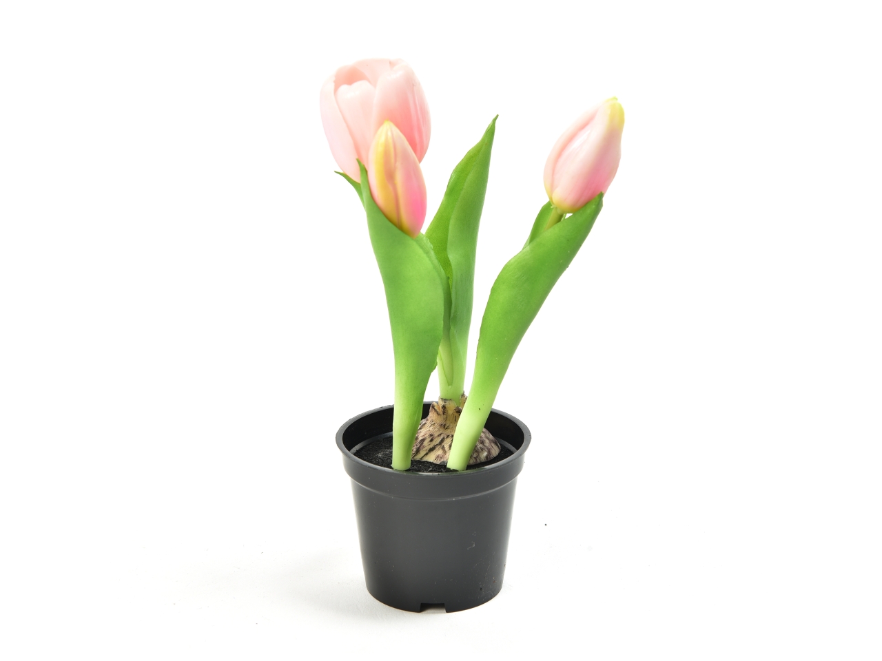 TULIPANO ROSA GOMMA IN VASO 21CM 12596