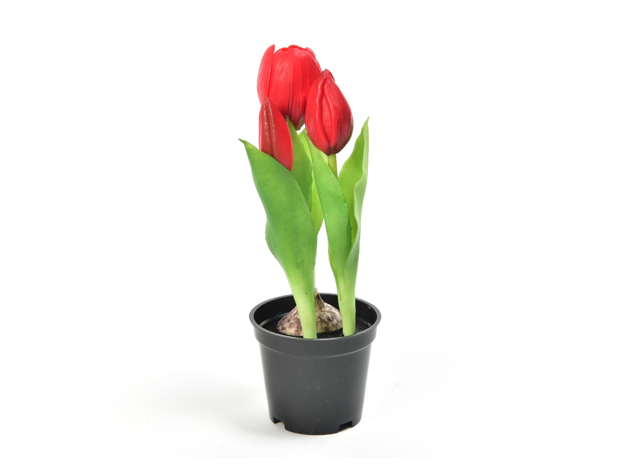 TULIPANO ROSSO GOMMA IN VASO 21CM 12565