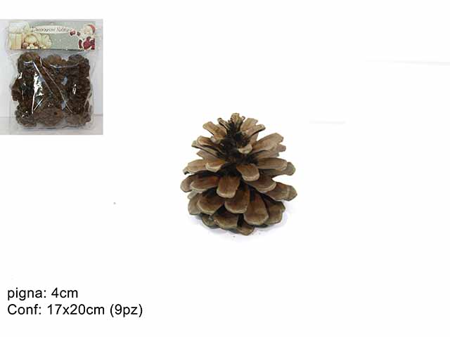 PIGNE 4cm 9PZ NATURALE AL003884