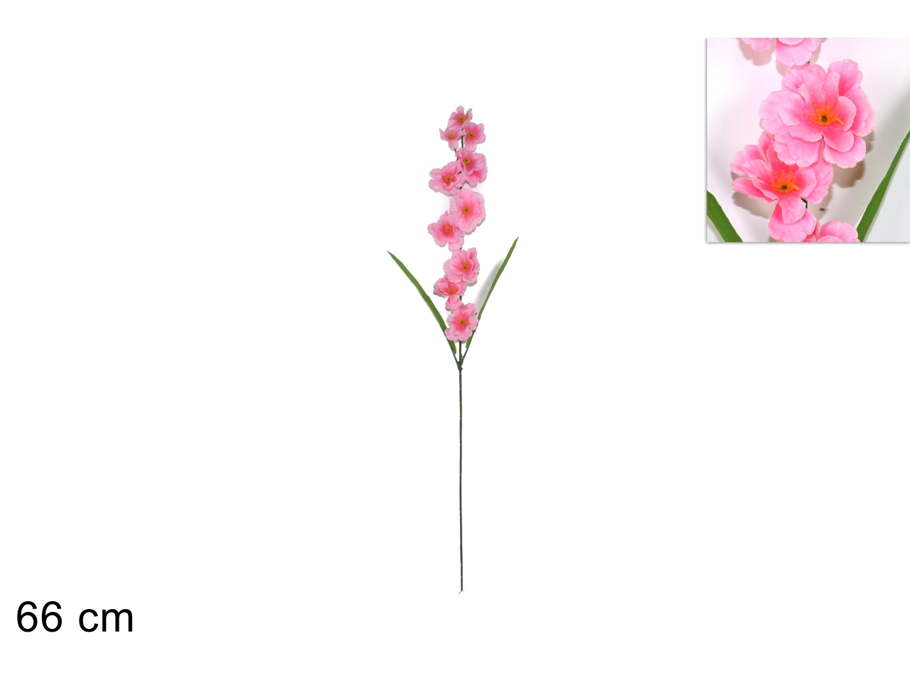 STELO FIORI PESCO XPA16000311