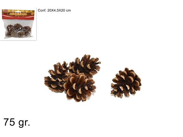 PIGNE 75gr MI004772
