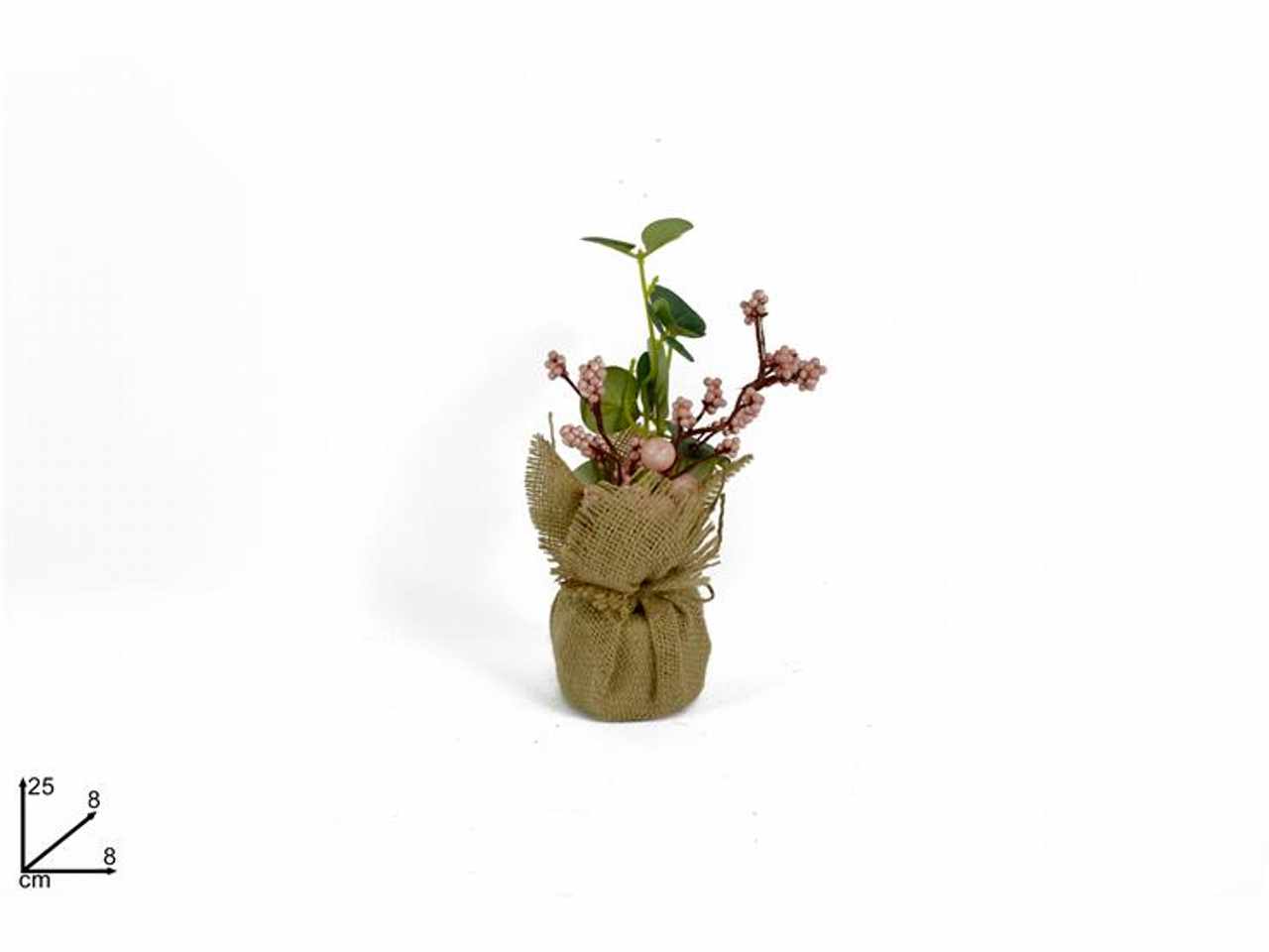 PIANTINA CON BACCHE ROSA E PI RO011306M