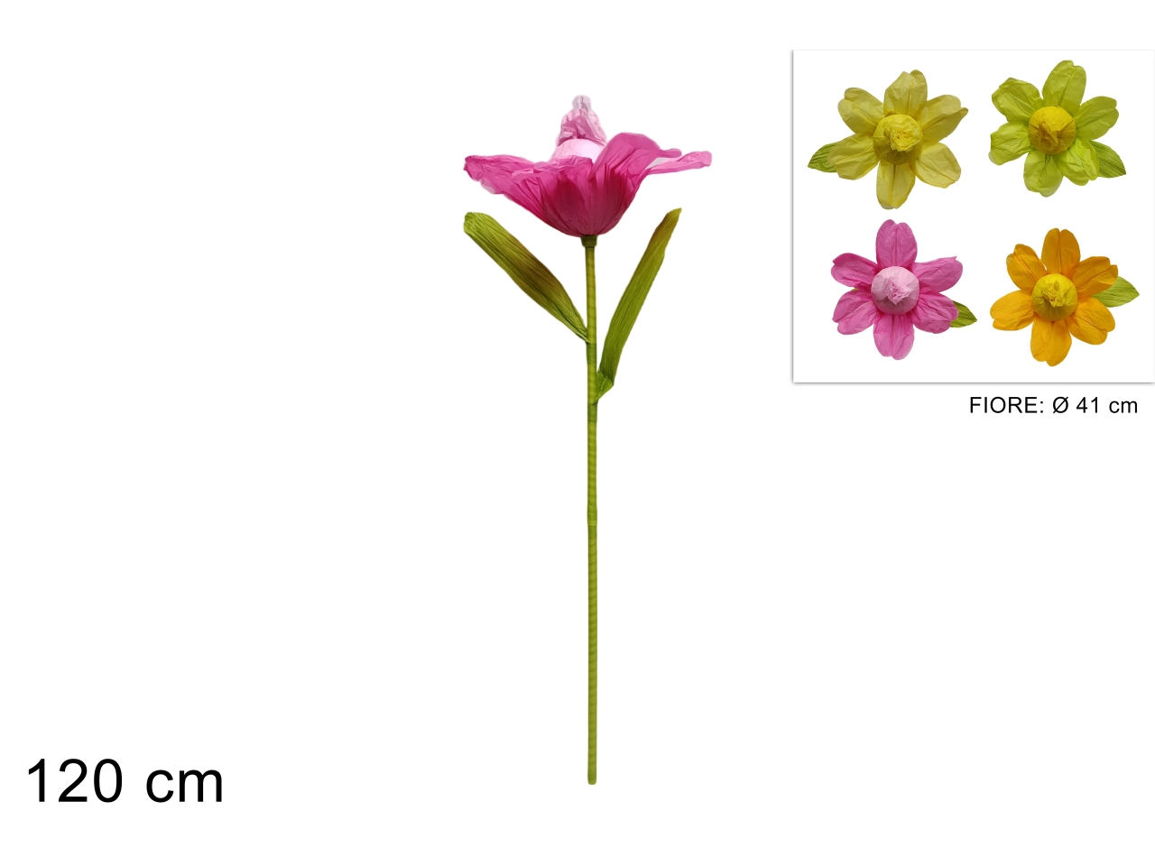 STELO FIORECARTA120CM 4COL. XPA23002511