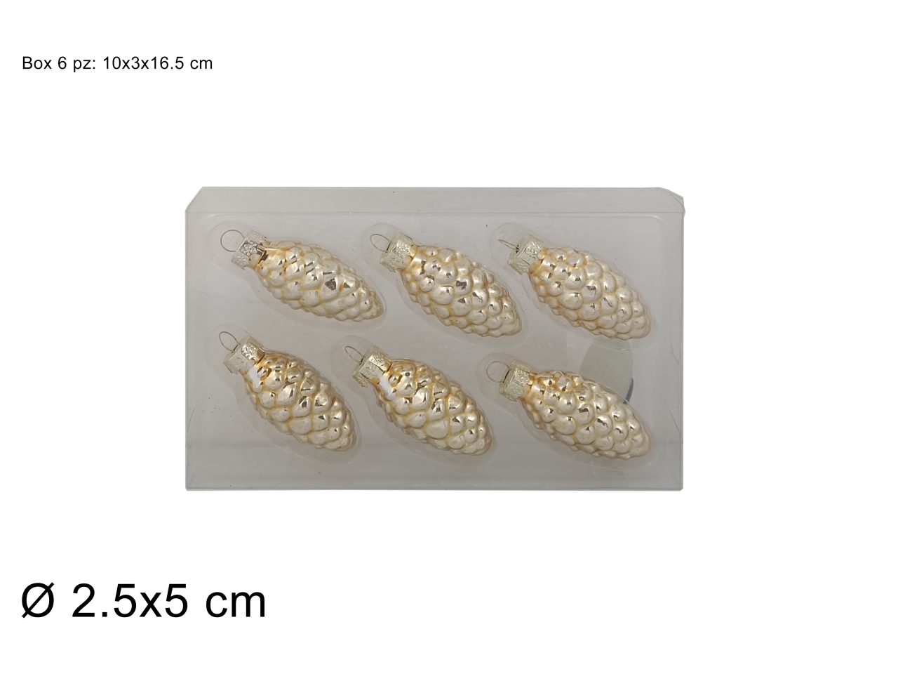 APP. PIGNA VETRO 5CM 6PZ XNA23067321