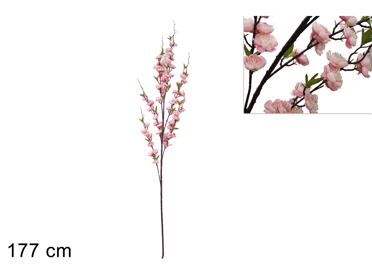 RAMO FIORI DI PESCO 177CM DEV24016211