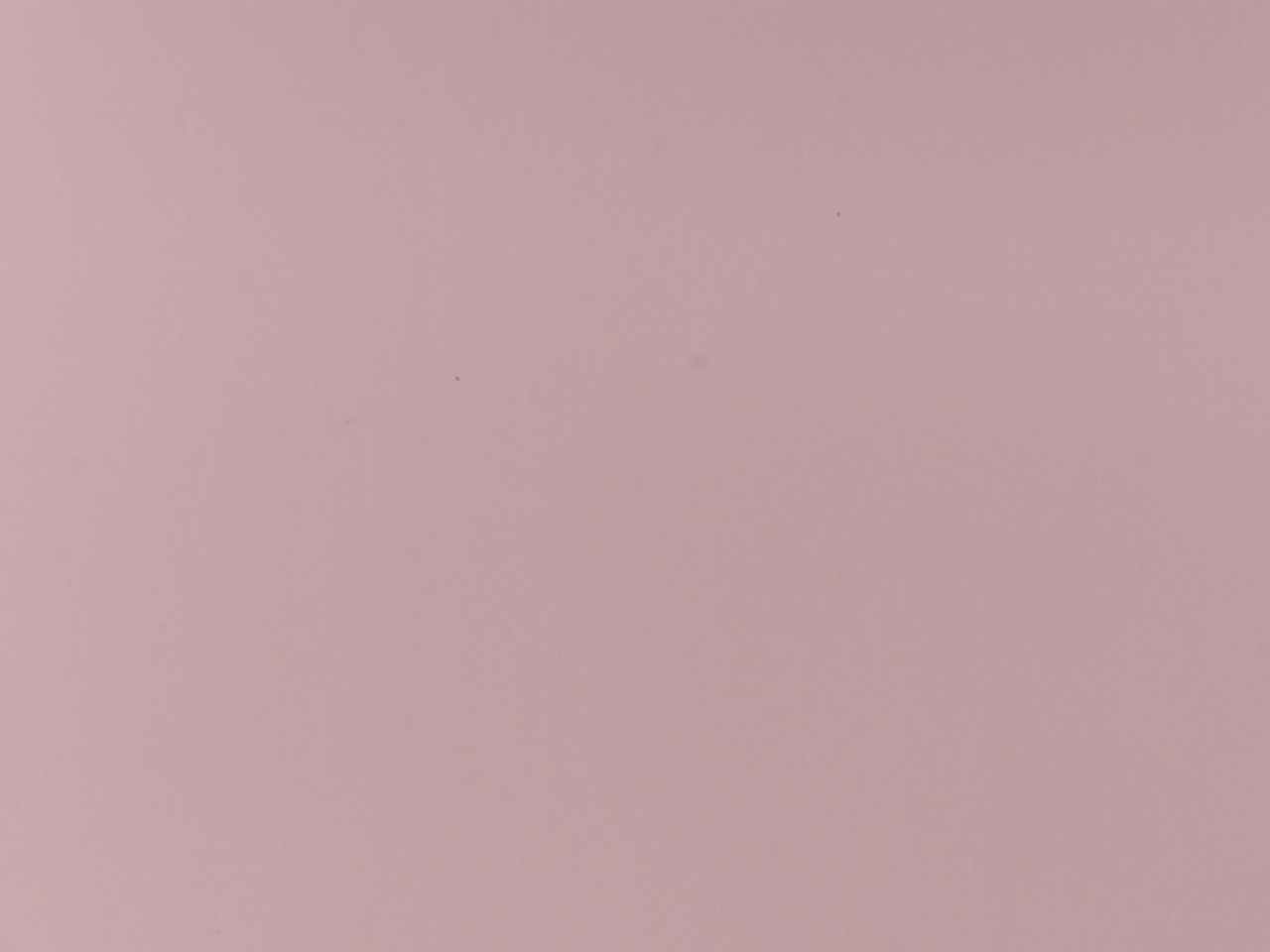 BUSTA SATINATO 18x50cm 50pz ROSA