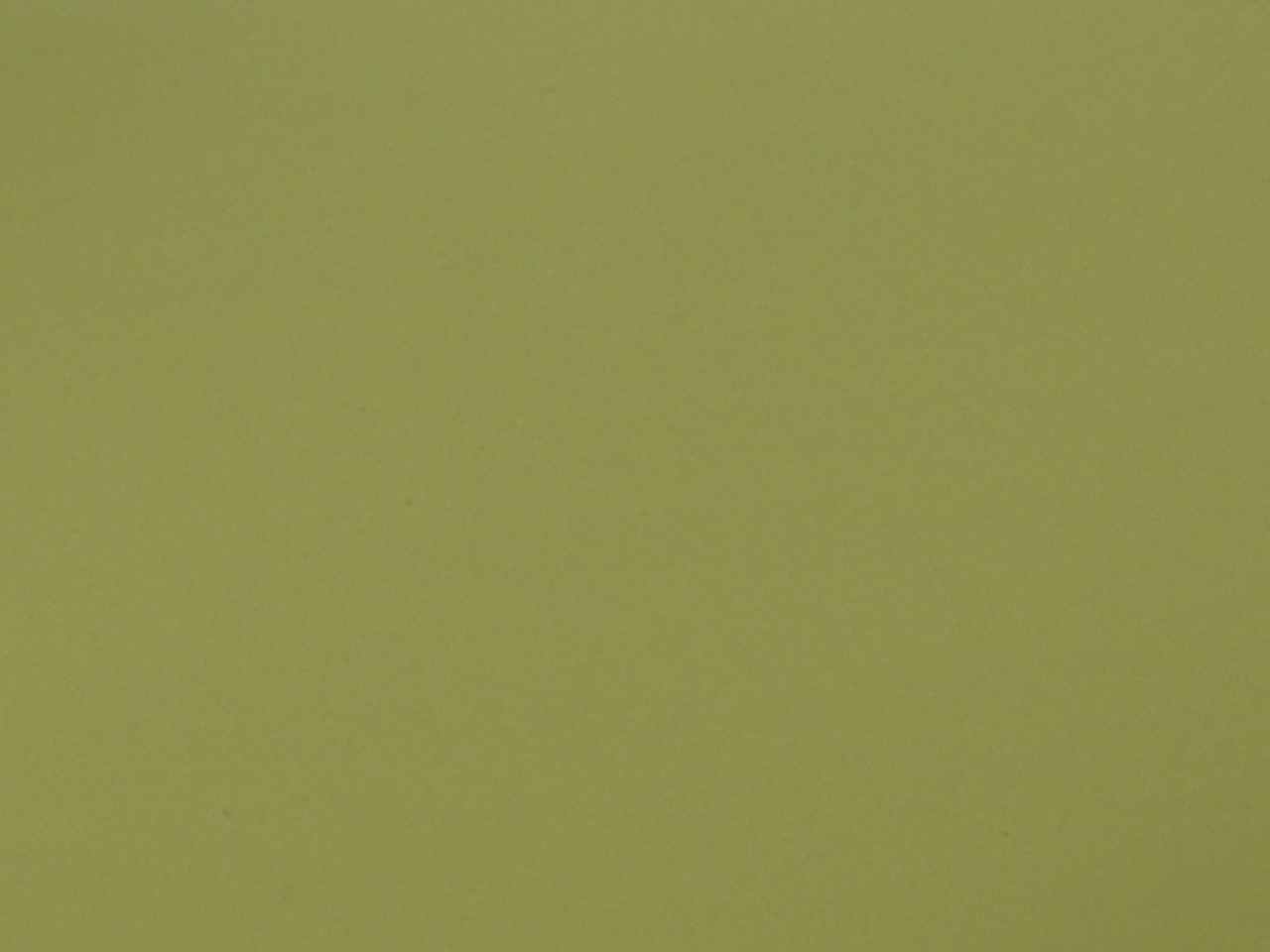 BUSTA SATINATO 18x50cm 50pz MUSCHIO